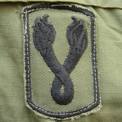 Subdued version of the 196th Light Infantry Brigade shoulder sleeve insignia.