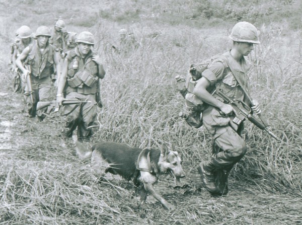 Handler of the 57th Scout Dog Platoon, 46th Infantry, 198th Brigade, Americal Division, carries an XM177 series rifle whilst on operations west of Chu Lai (I Corps).